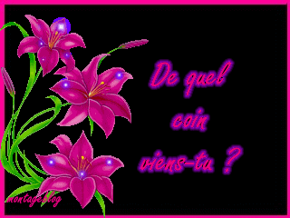 DE QUEL COIN VIENT TU