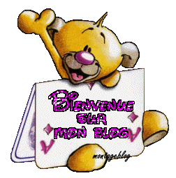 BIENVENUE SUR MON BLOG !!!